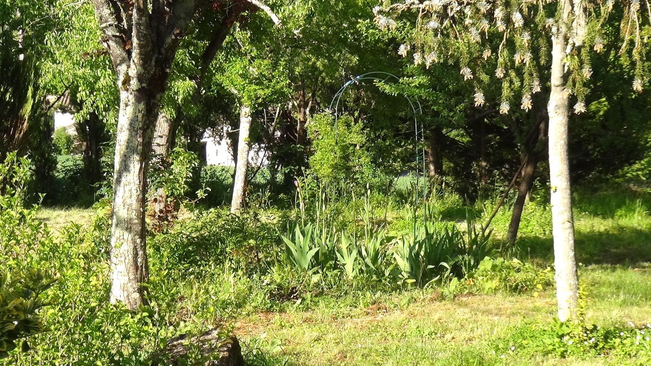 Photo of Outdoor in Itzac