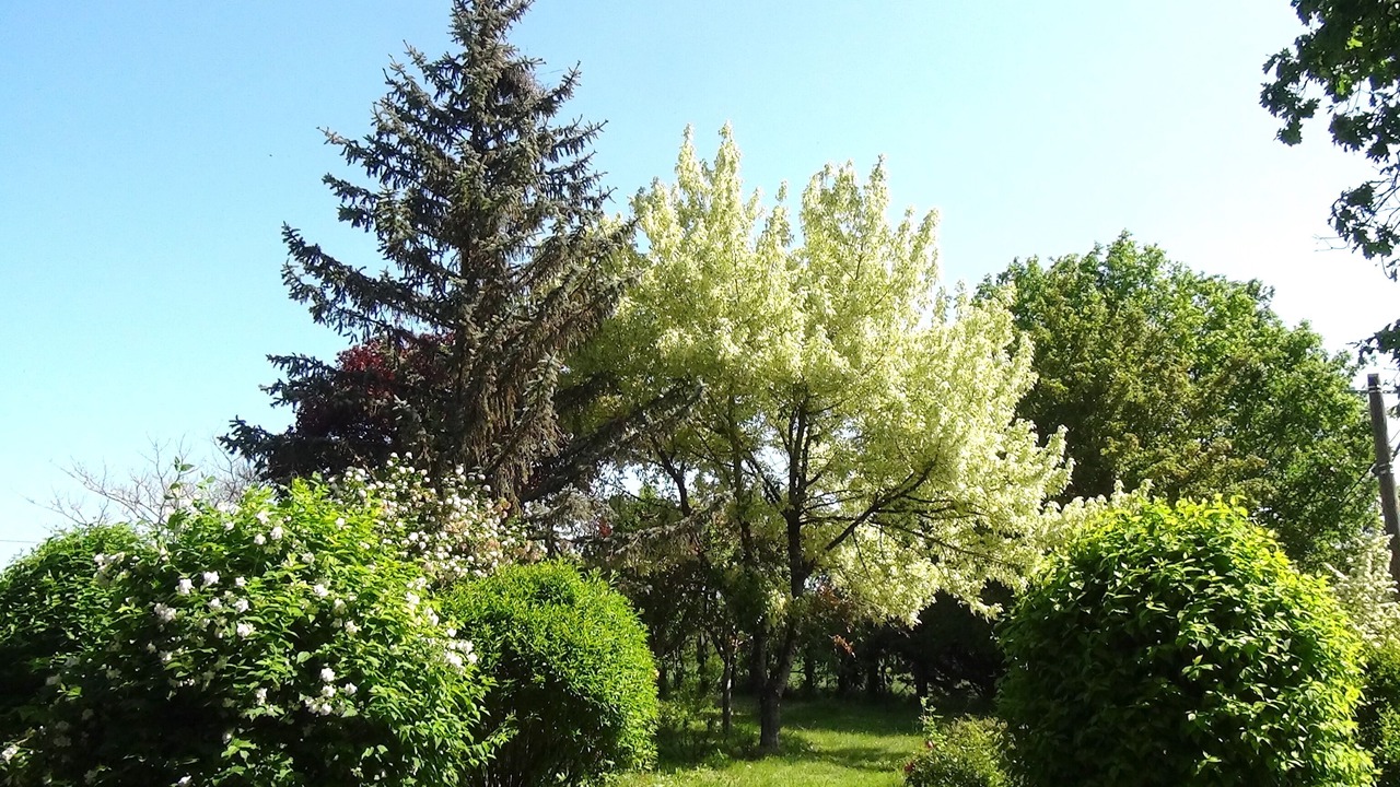 Photo of Outdoor in Itzac