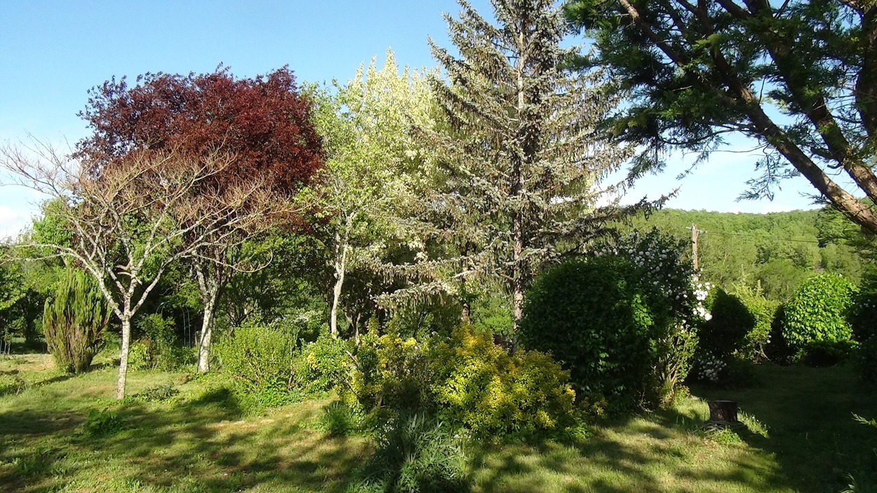 Photo of Outdoor in Itzac