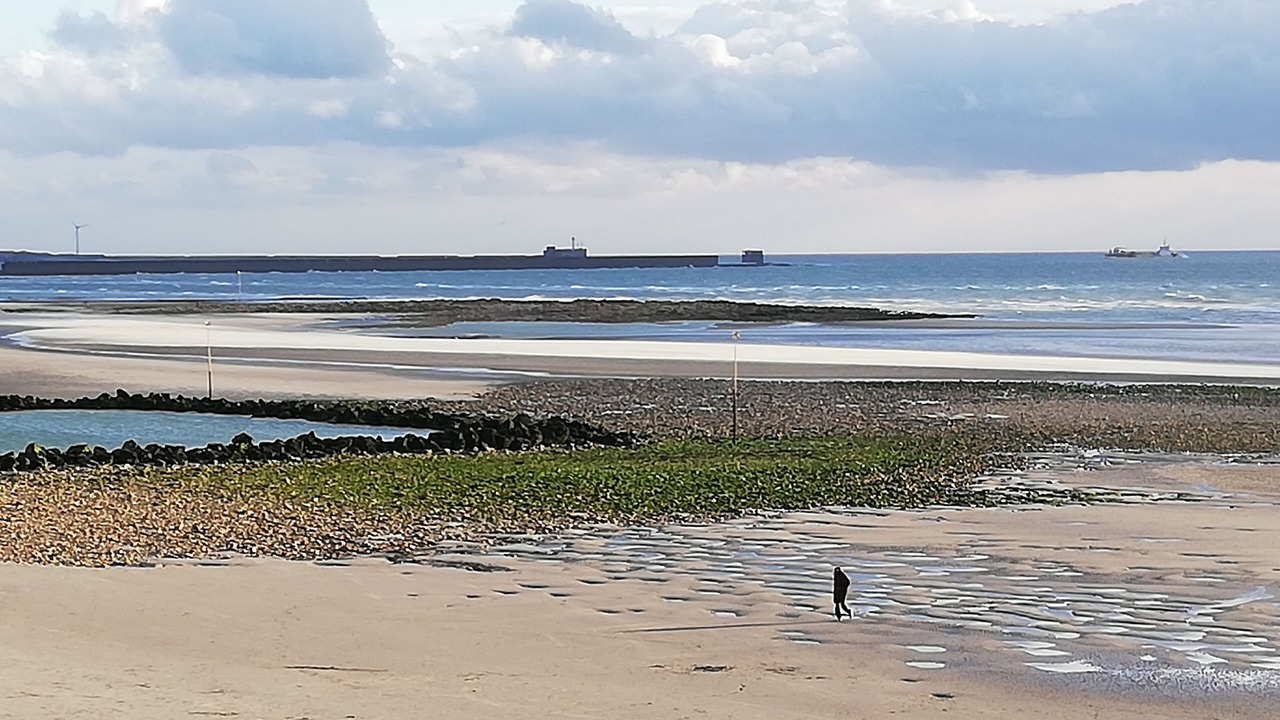 Photo of Others in Wimereux