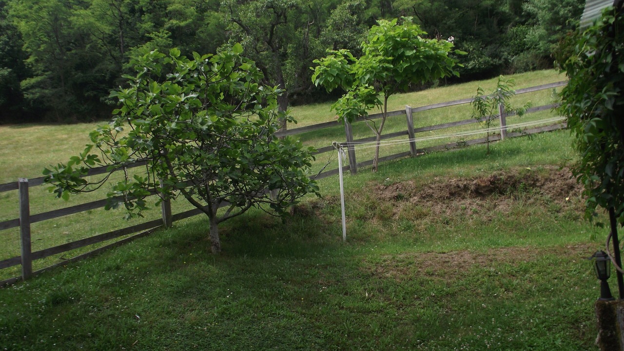 Photo of Outdoor in Livinhac-le-Haut