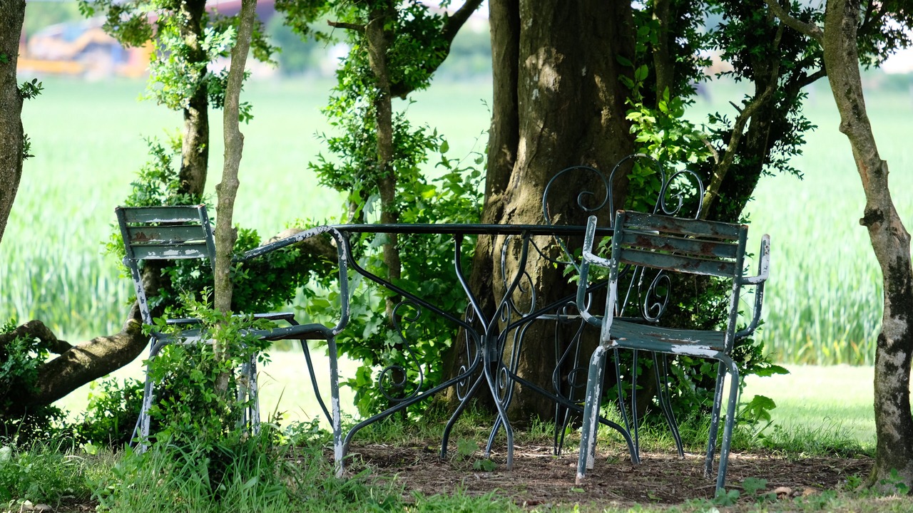 Photo of Outdoor in Gaillac