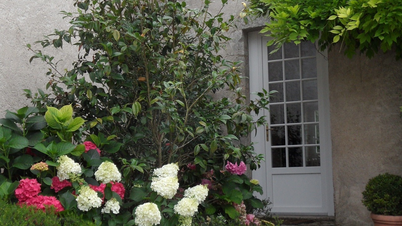 Photo of Outdoor in Huisseau-sur-Cosson