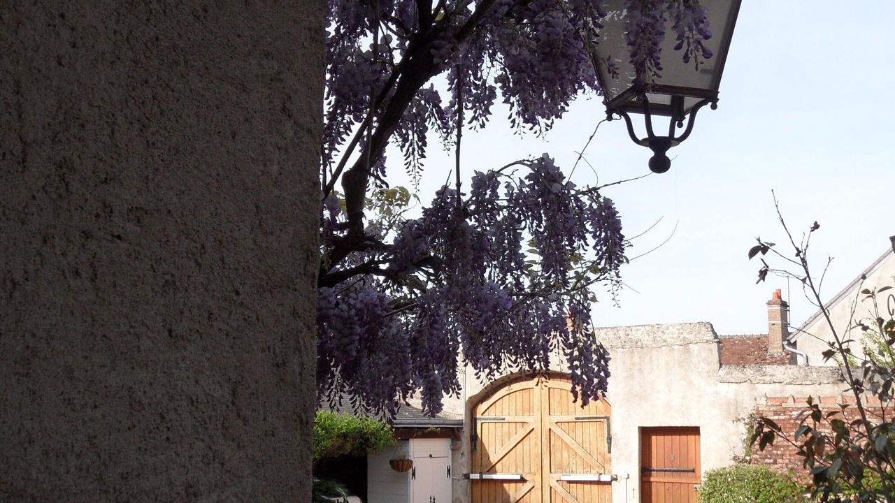 Photo of Outdoor in Huisseau-sur-Cosson