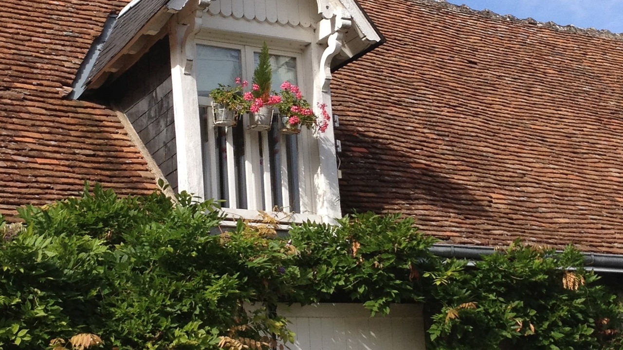 Photo of Outdoor in Huisseau-sur-Cosson