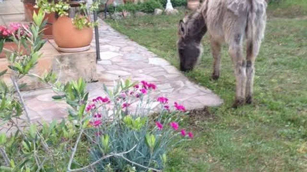 Photo of Outdoor in Porto-Vecchio