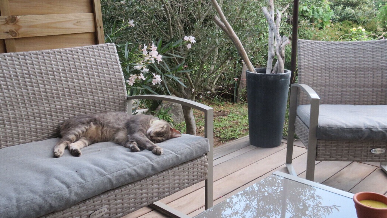 Photo of Outdoor in Porto-Vecchio