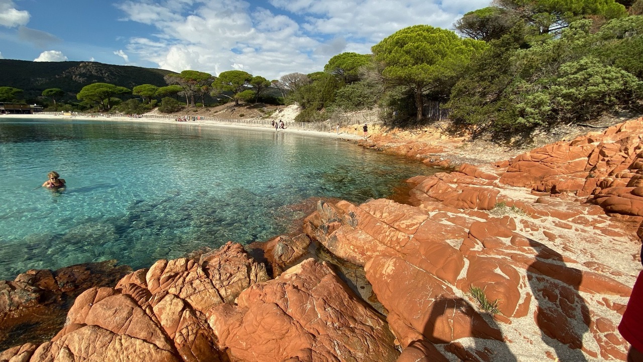 Photo of Others in Porto-Vecchio