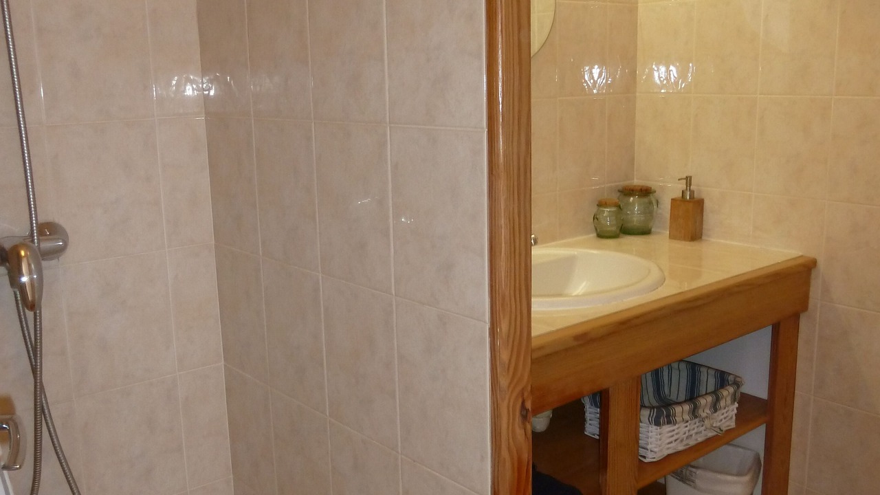 Photo of Bathroom in Noizay