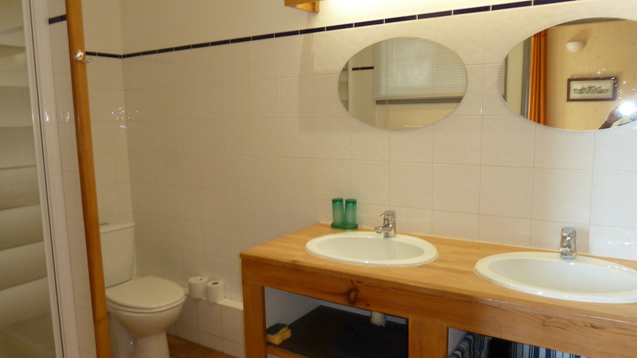 Photo of Bathroom in Noizay
