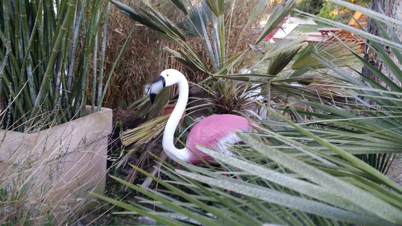 Photo of Outdoor in Pessac