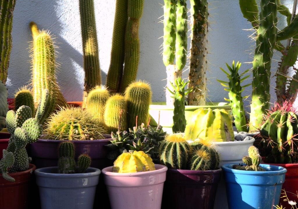 Photo of Outdoor in Les Sablettes