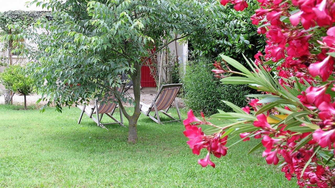 Photo of Outdoor in St.-Remy-de-Provence