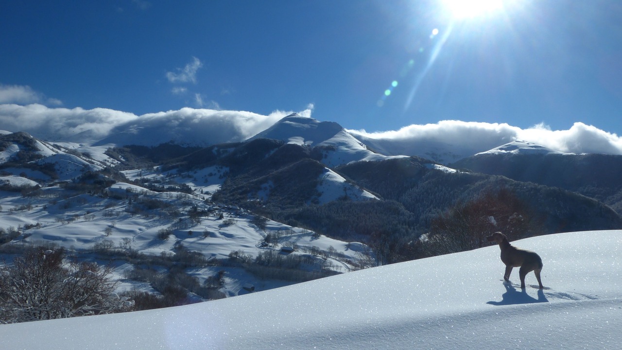 Photo of Others in Saint-Jacques-des-Blats
