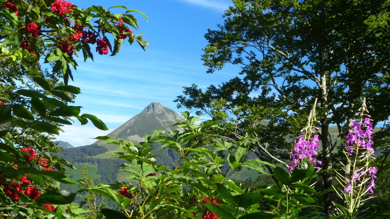 Photo of Outdoor in Saint-Jacques-des-Blats