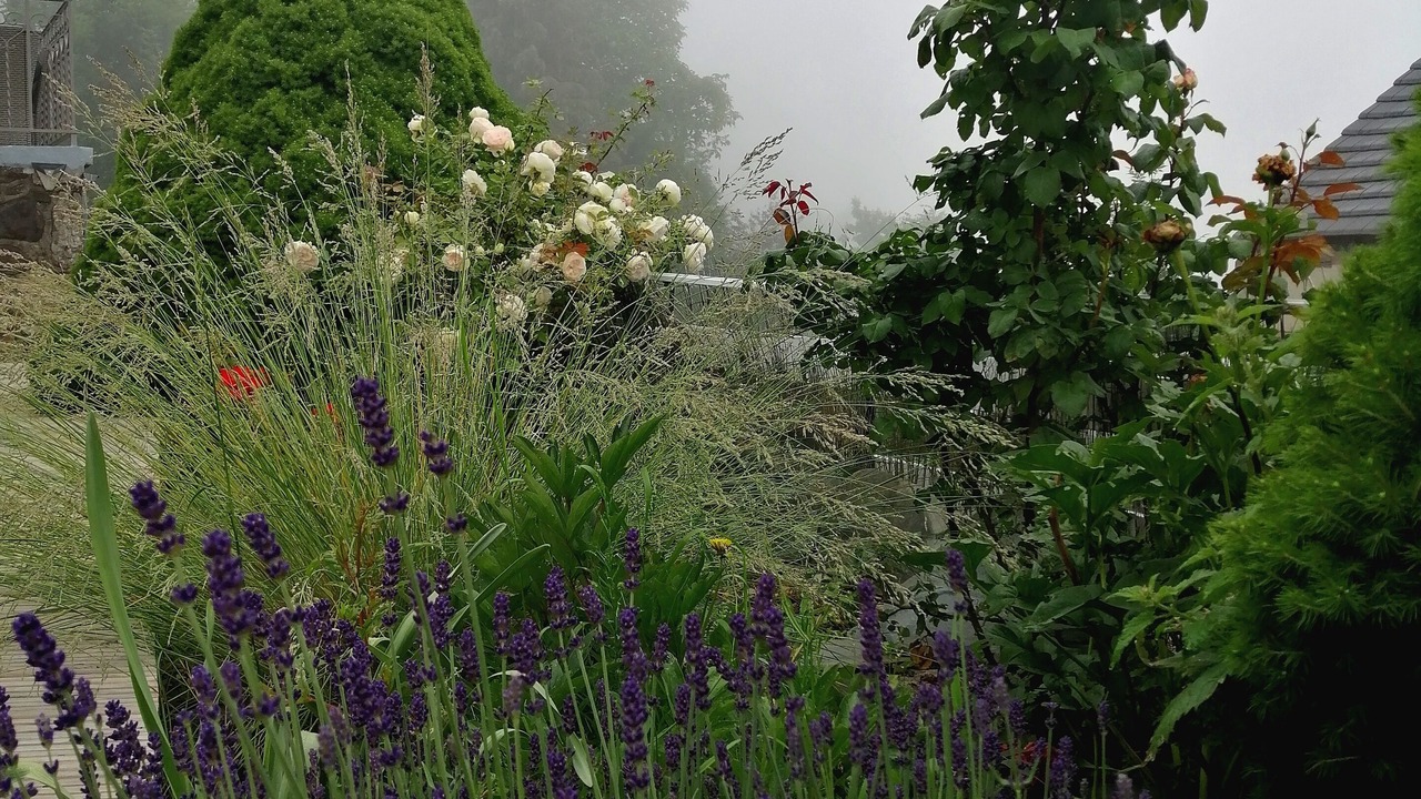 Photo of Outdoor in Saint-Jacques-des-Blats