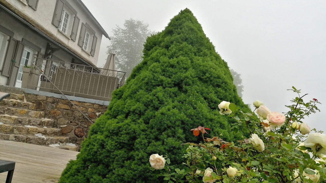 Photo of Outdoor in Saint-Jacques-des-Blats