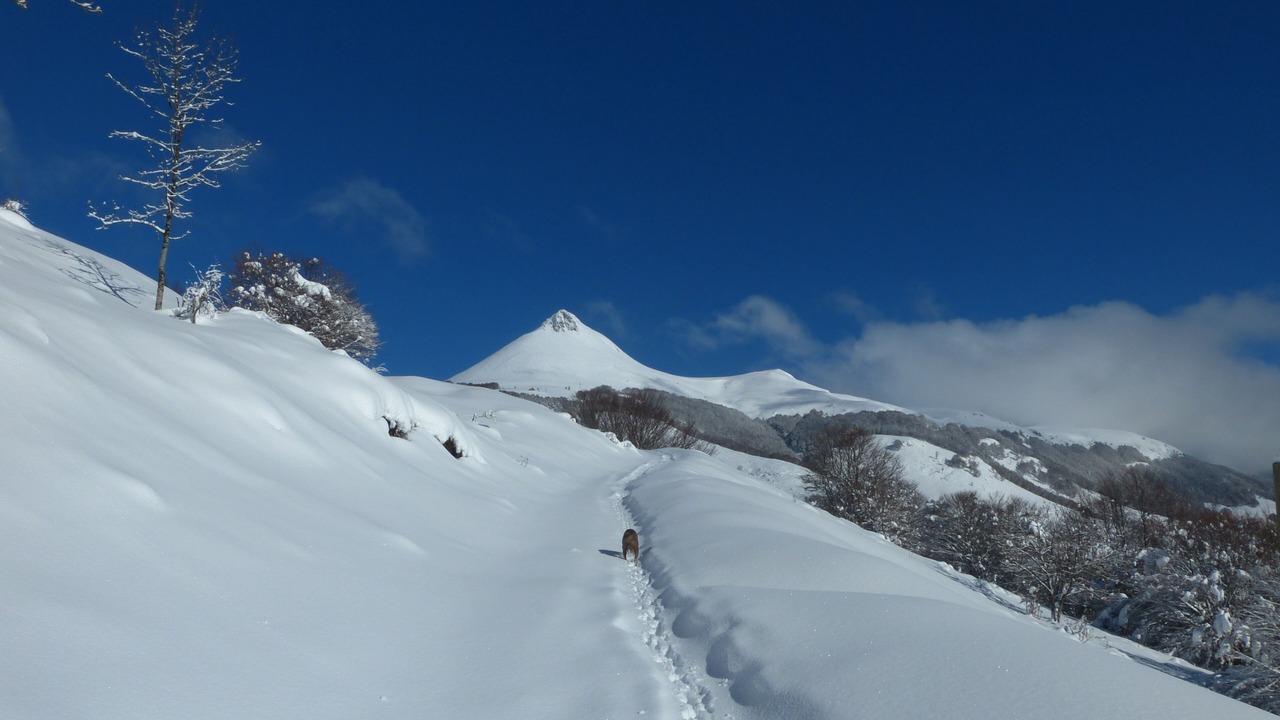Photo of Others in Saint-Jacques-des-Blats