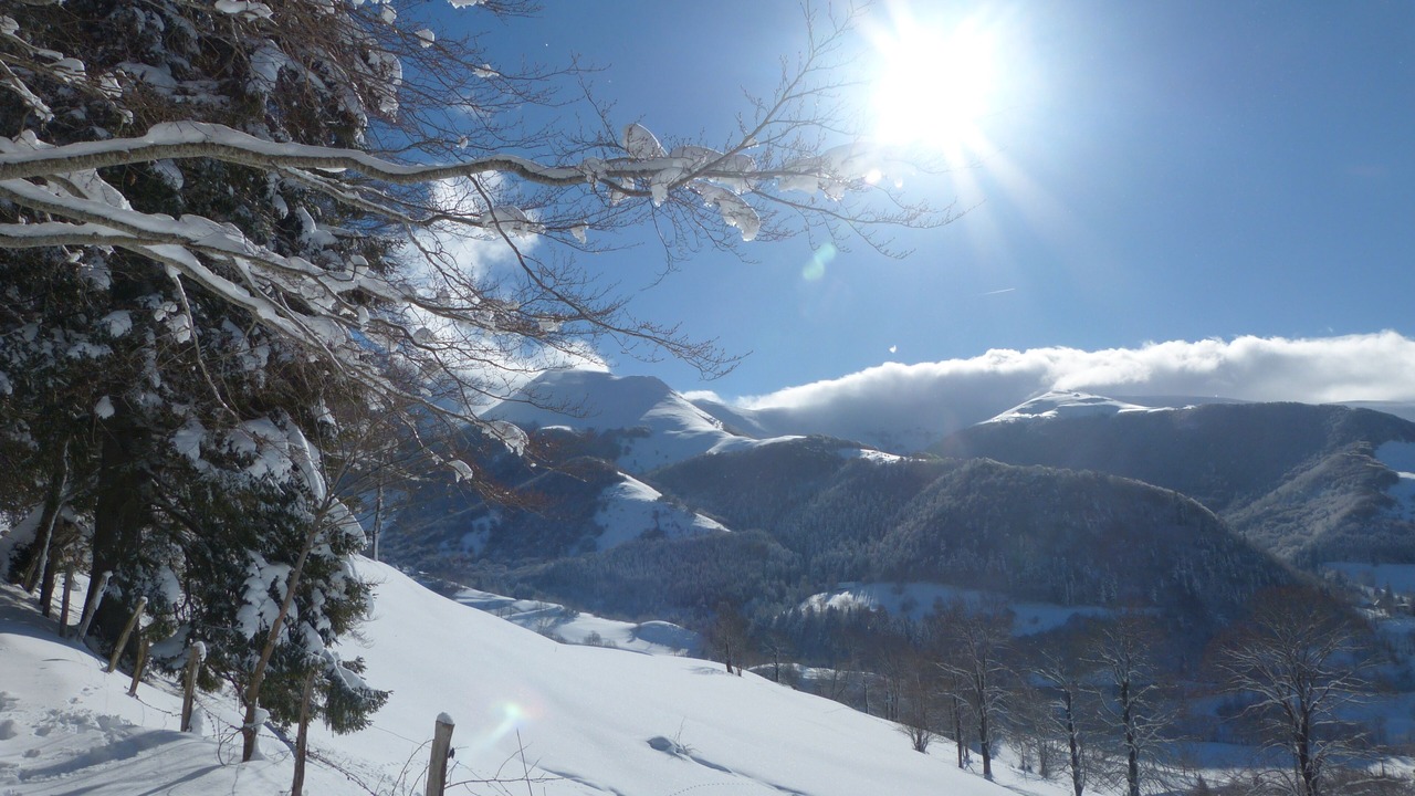 Photo of Others in Saint-Jacques-des-Blats