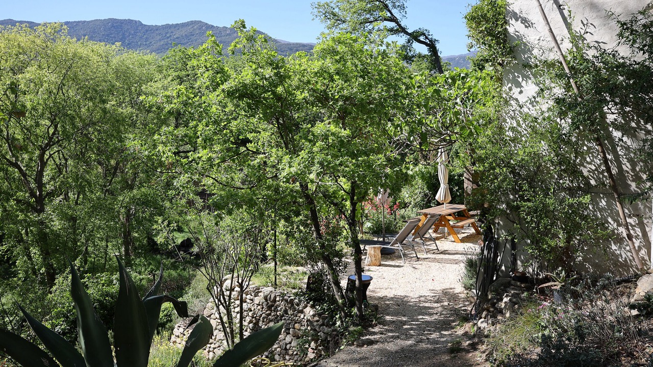 Photo of Outdoor in Argeles-sur-Mer