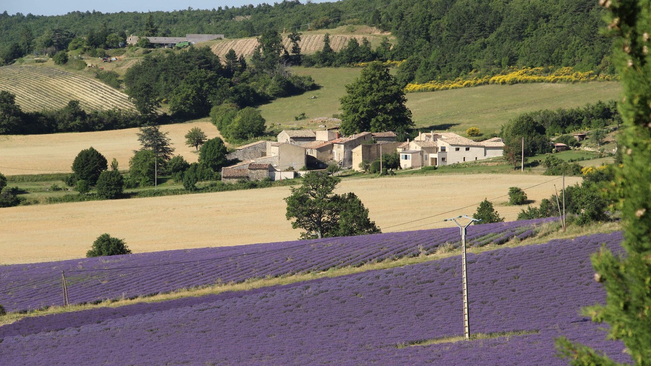 Photo of Outdoor in Sault