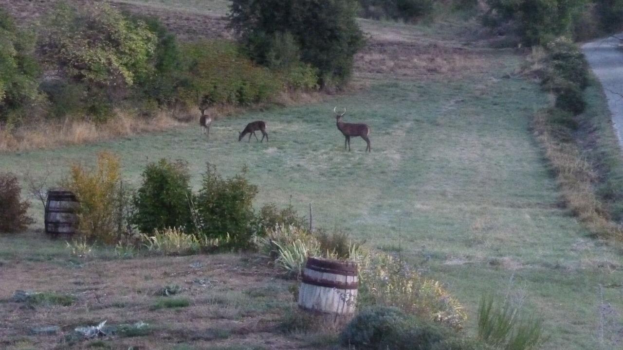 Photo of Outdoor in Sault