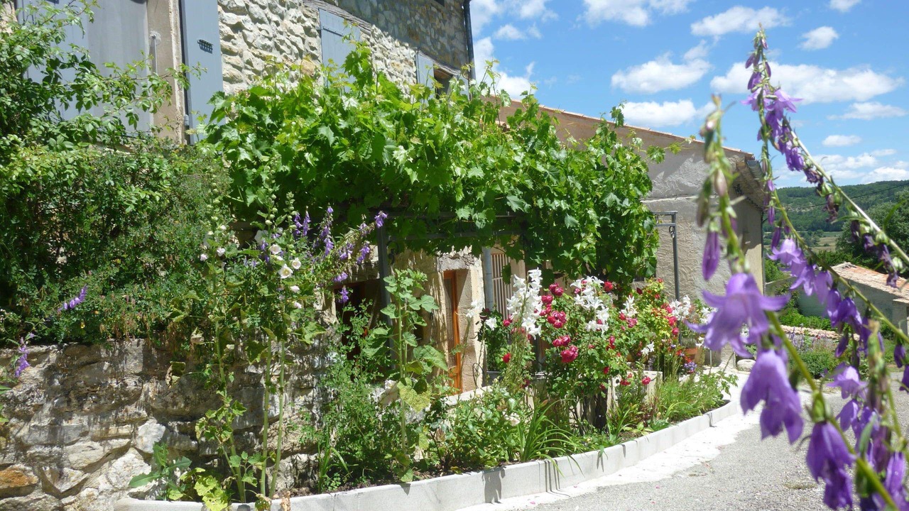 Photo of Outdoor in Sault