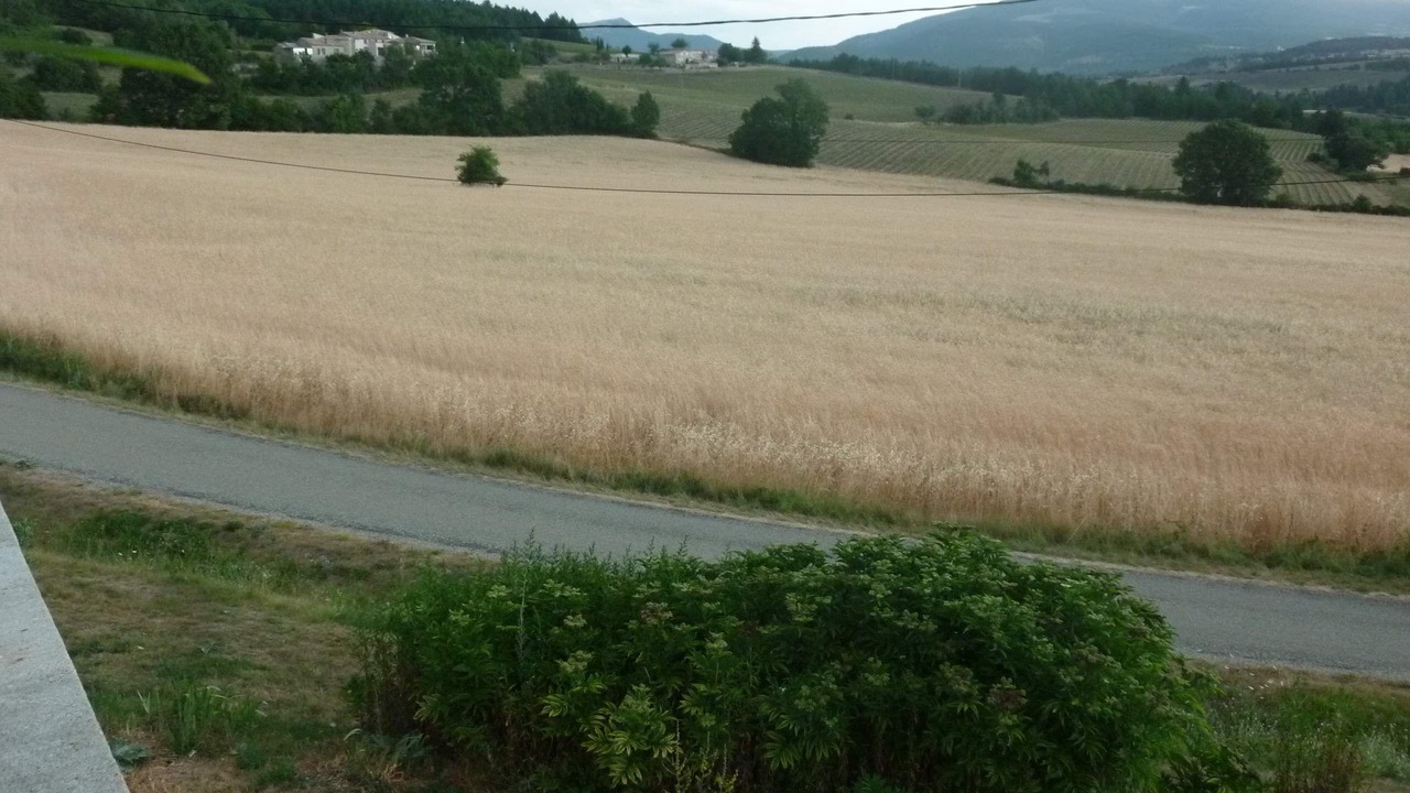 Photo of Outdoor in Sault