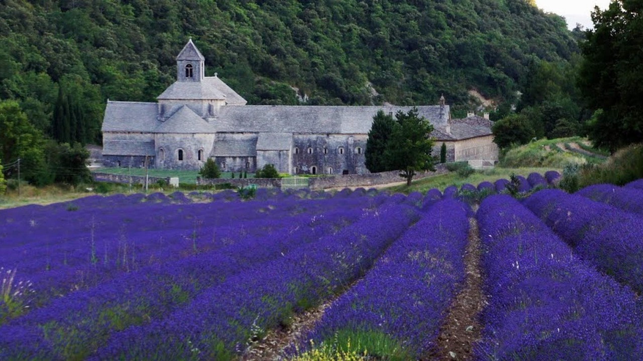 Photo of Others in Sault