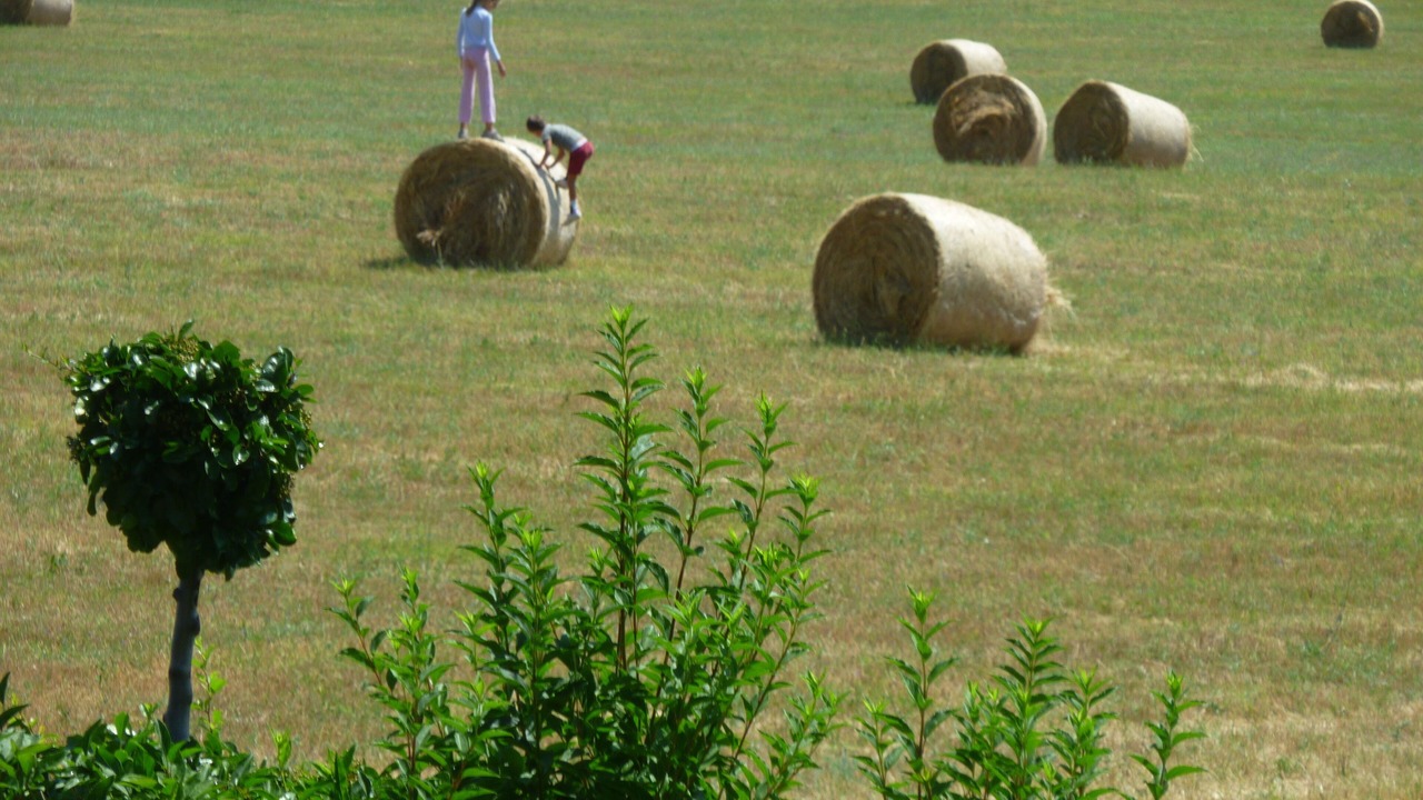 Photo of Outdoor in Sault