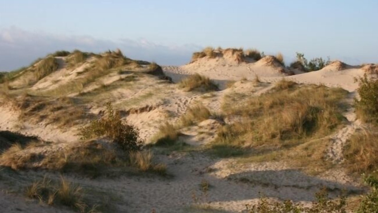 Photo of Others in Bray-Dunes
