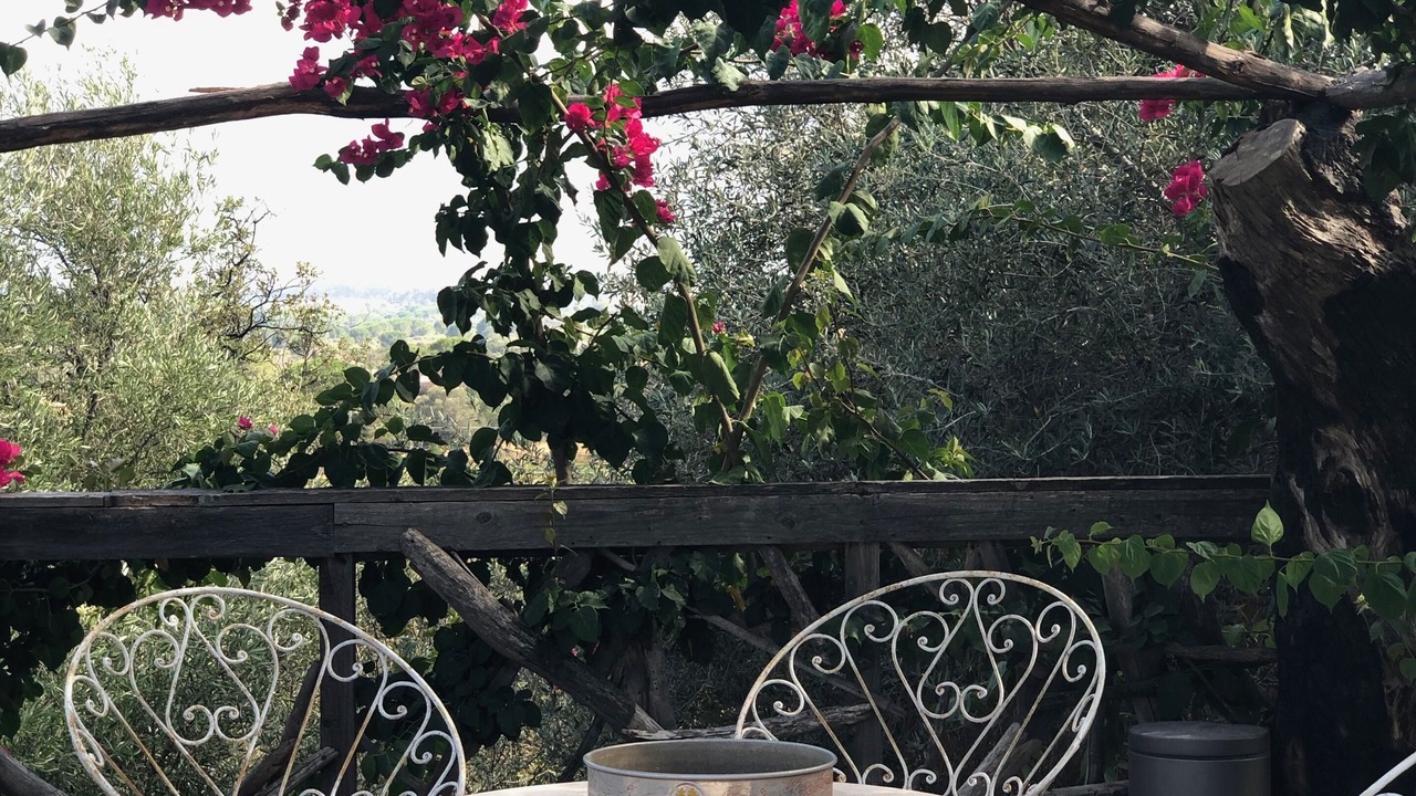 Photo of Outdoor in Calvi