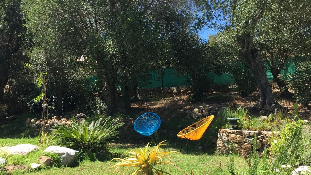 Photo of Outdoor in Calvi