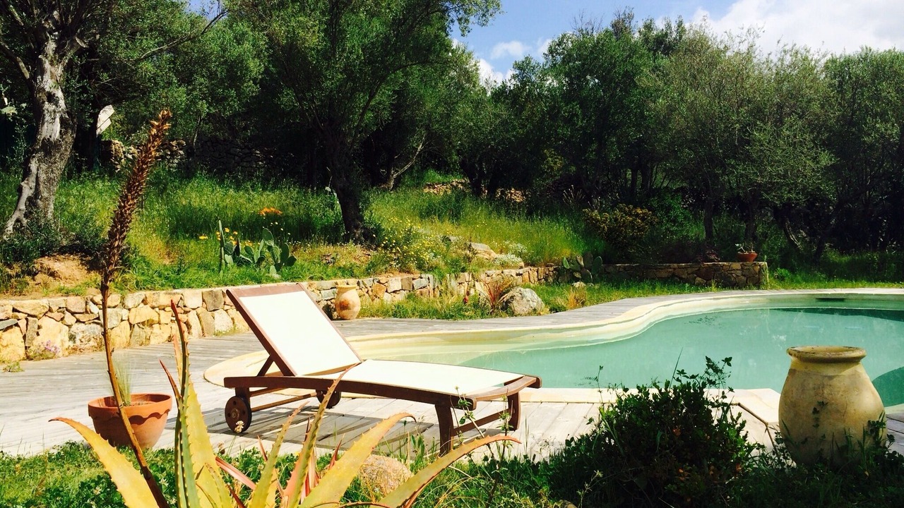 Photo of Outdoor in Calvi