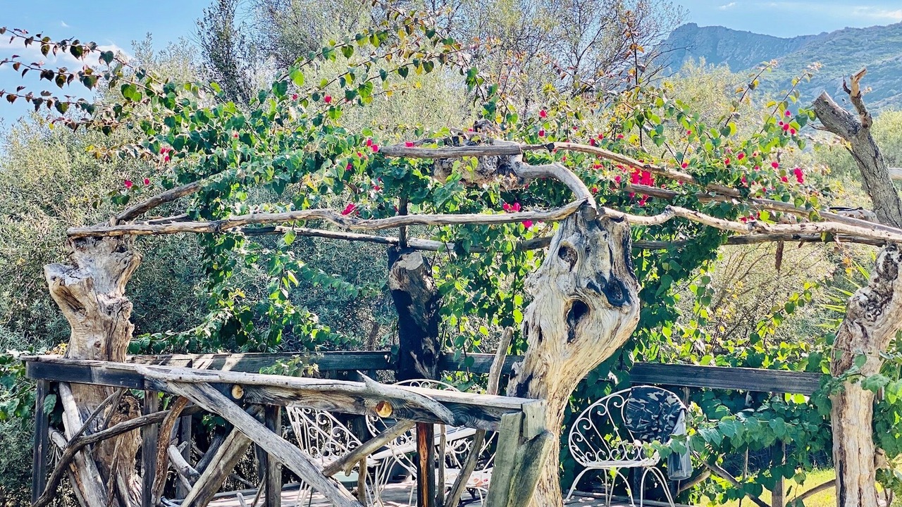 Photo of Outdoor in Calvi