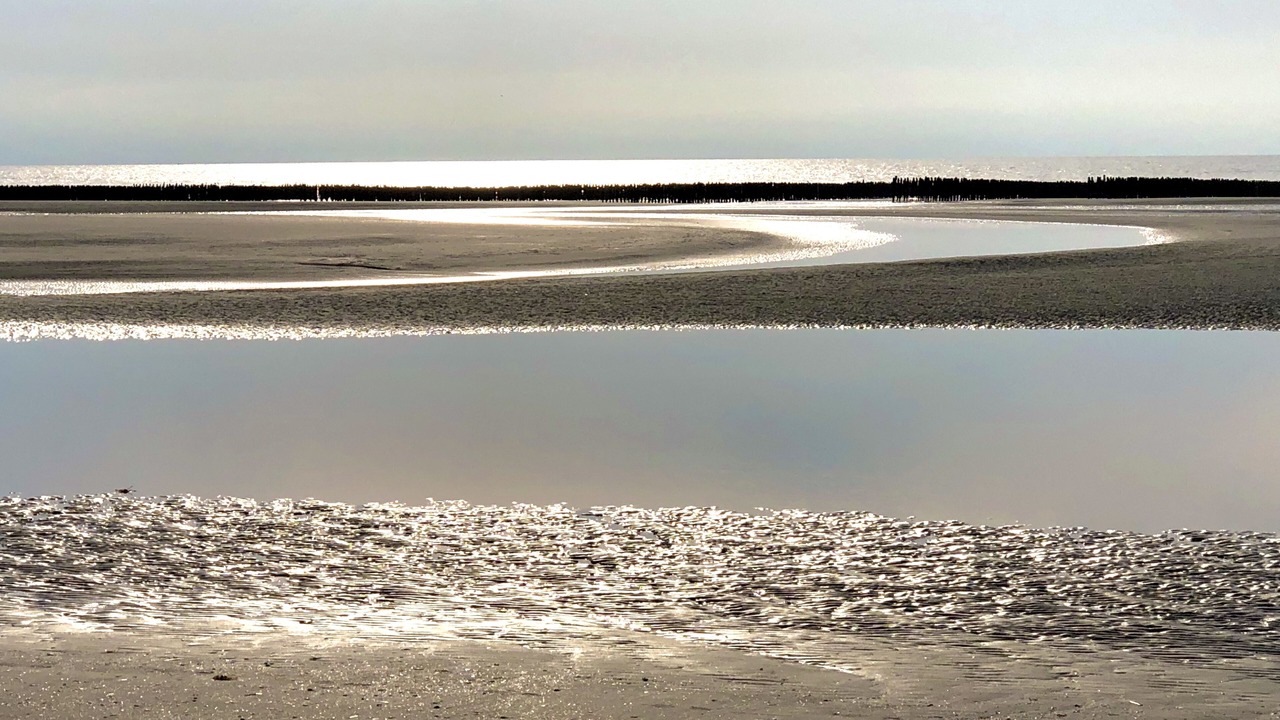 Photo of Others in Quend-Plage-les-Pins