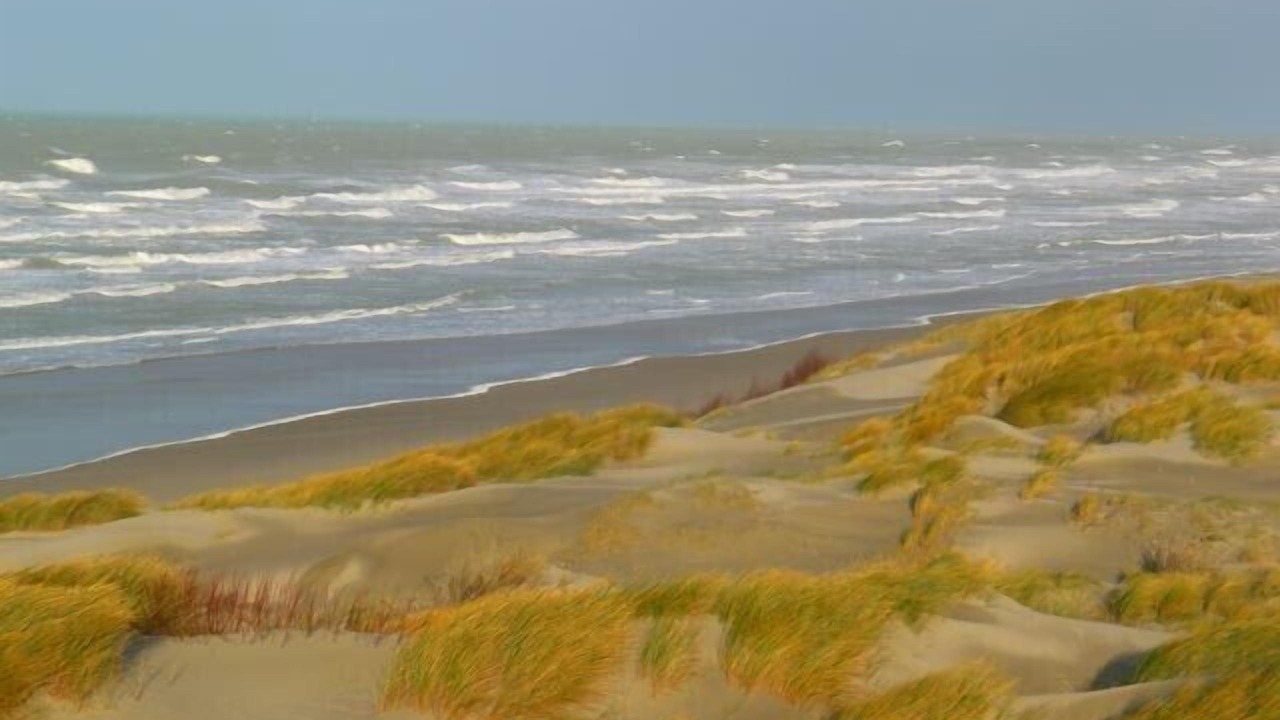 Photo of Others in Quend-Plage-les-Pins