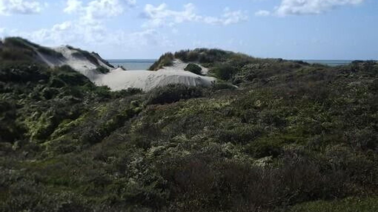 Photo of Others in Quend-Plage-les-Pins