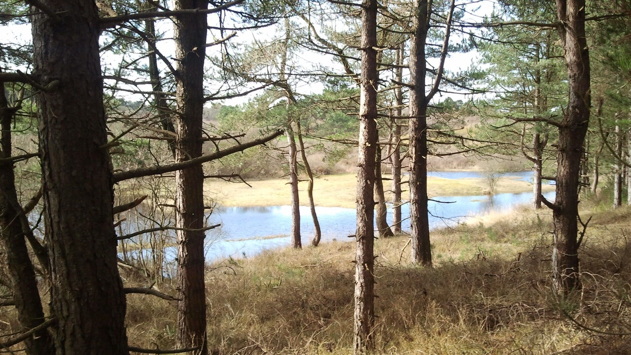 Photo of Outdoor in Fort-Mahon-Plage