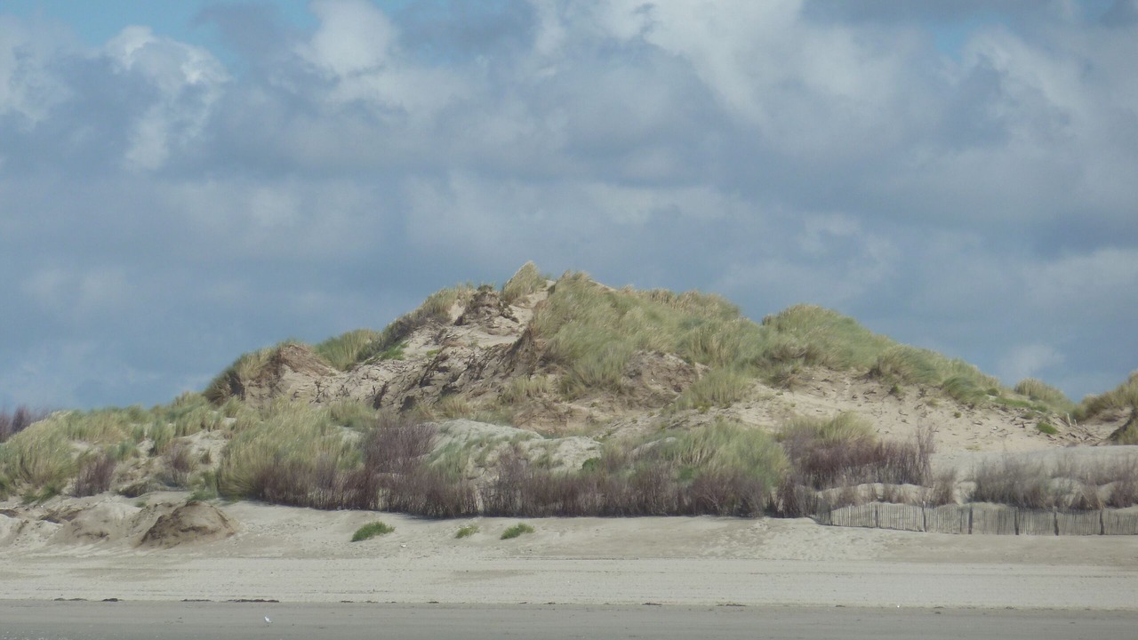 Photo of Others in Fort-Mahon-Plage