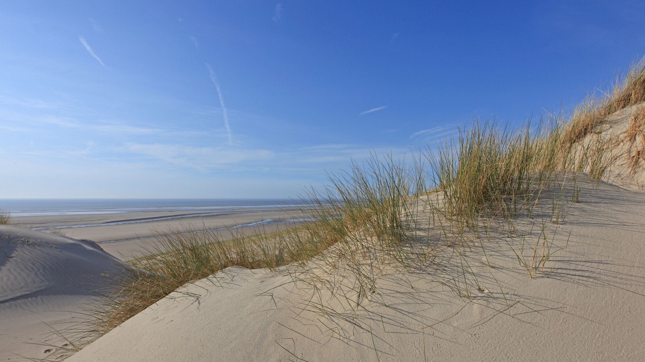 Photo of Others in Fort-Mahon-Plage