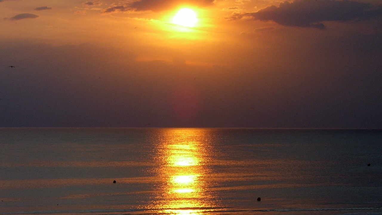 Photo of Others in Fort-Mahon-Plage