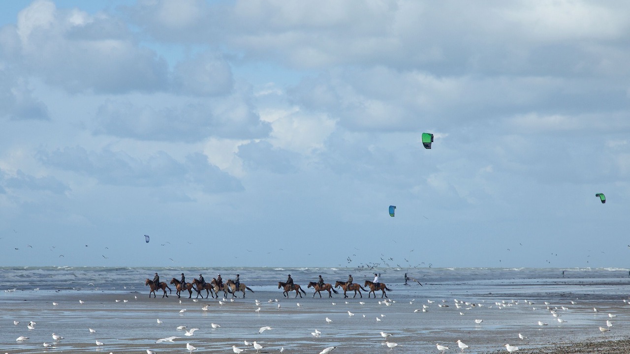 Photo of Others in Fort-Mahon-Plage