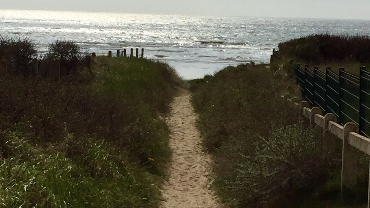 Photo of Others in Hardelot-Plage
