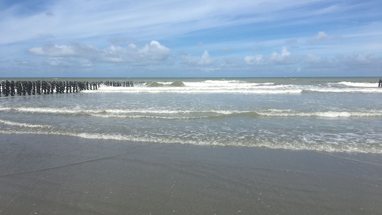 Photo of Others in Hardelot-Plage