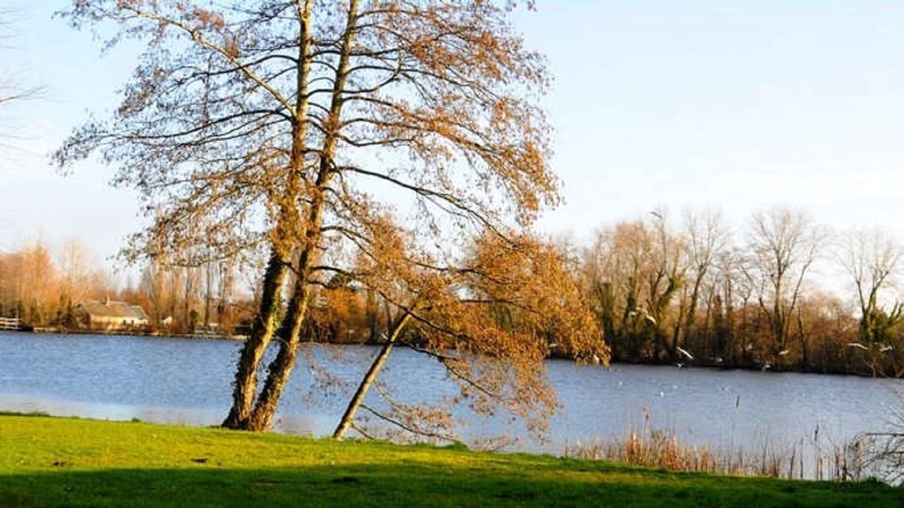 Photo of Outdoor in Rodelinghem