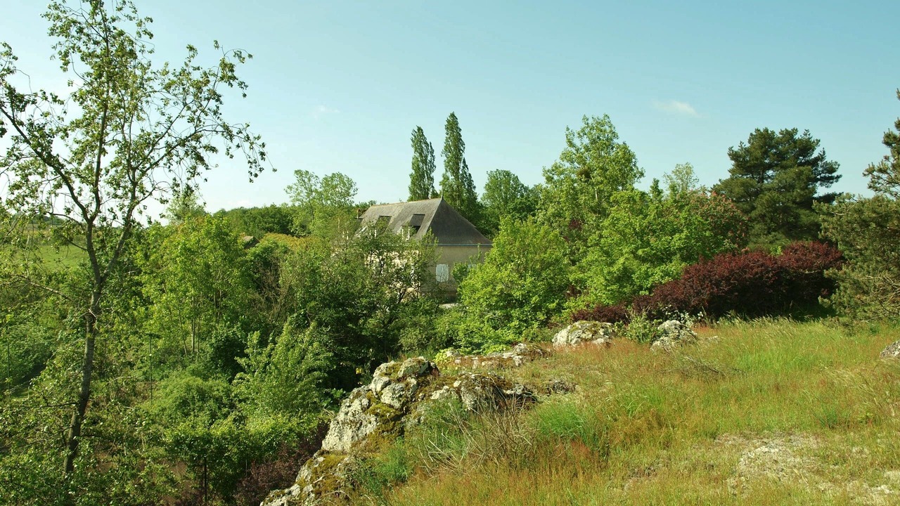 Photo of Outdoor in Val-du-Layon