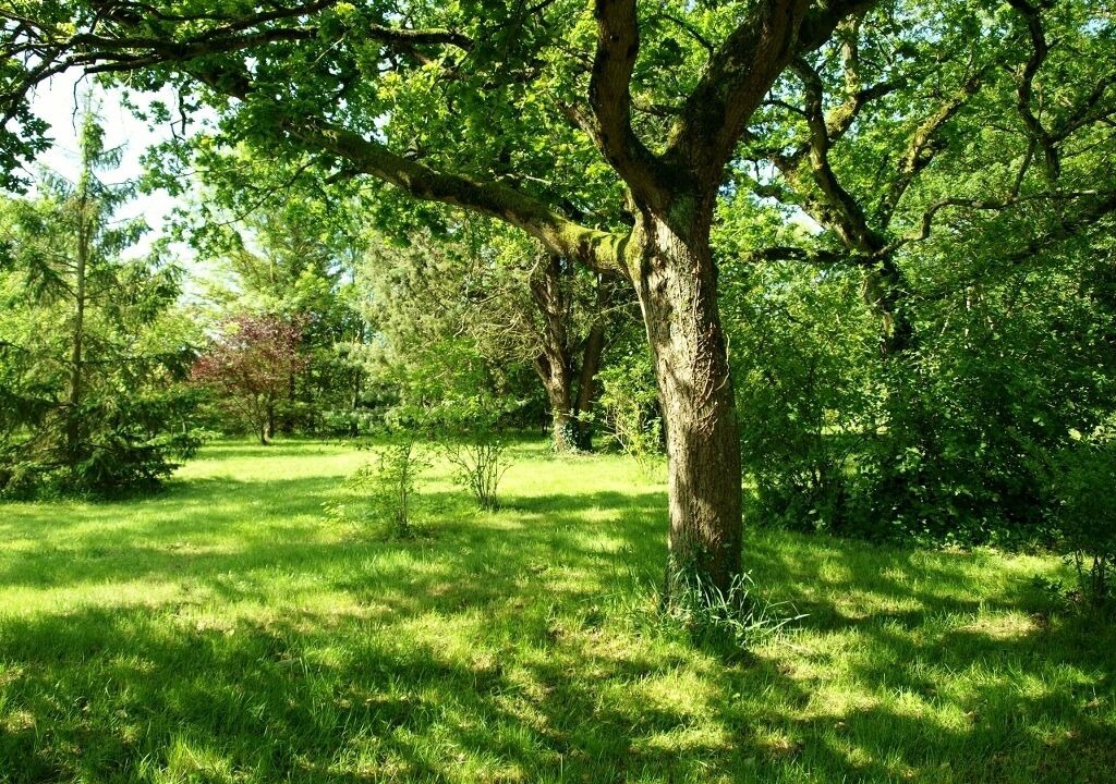 Photo of Outdoor in Val-du-Layon