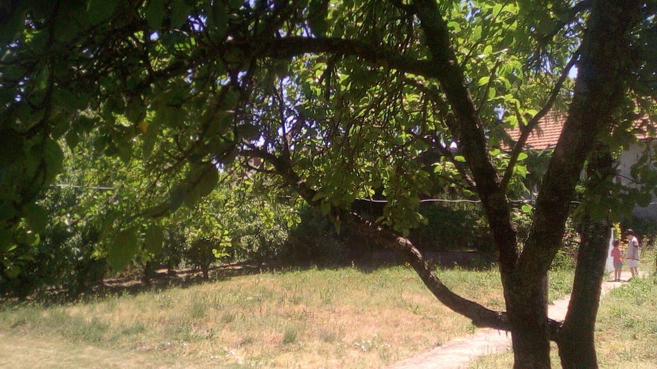 Photo of Outdoor in Reaumur