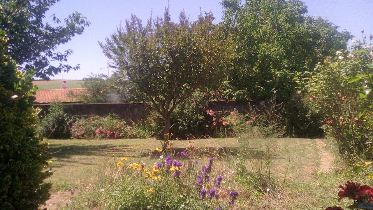 Photo of Outdoor in Reaumur
